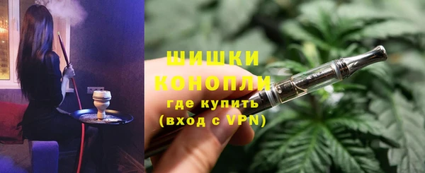 крисы Армянск