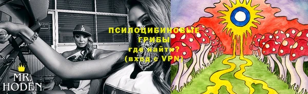 крисы Армянск