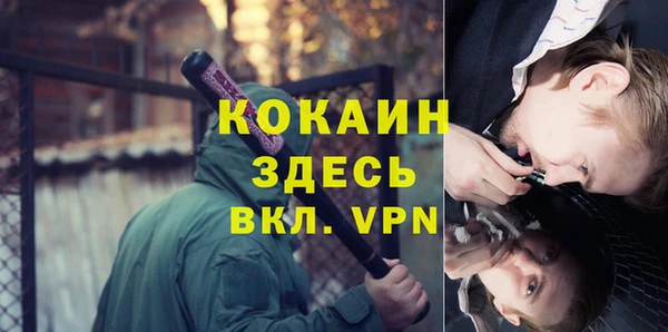крисы Армянск