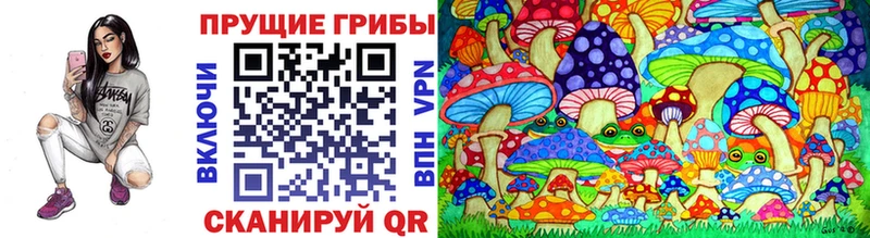 что такое наркотик  Плавск  Псилоцибиновые грибы Psilocybine cubensis 